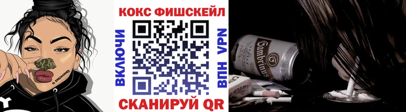 Кокаин 99%  сайты даркнета телеграм  гидра вход  Камешково  купить  