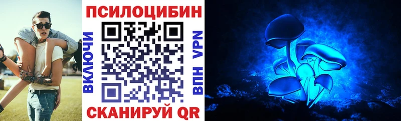 Псилоцибиновые грибы MAGIC MUSHROOMS  блэк спрут зеркало  Камешково 